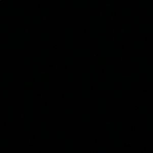 Meet your Posher, Zayda